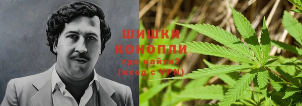 прущие грибы Пролетарск