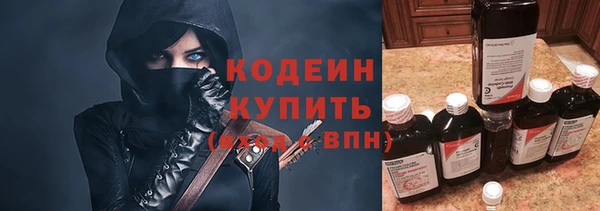 прущие грибы Пролетарск