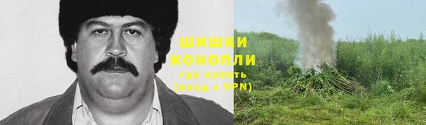 дмт Горняк
