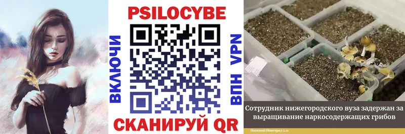 Галлюциногенные грибы Cubensis  Яхрома 